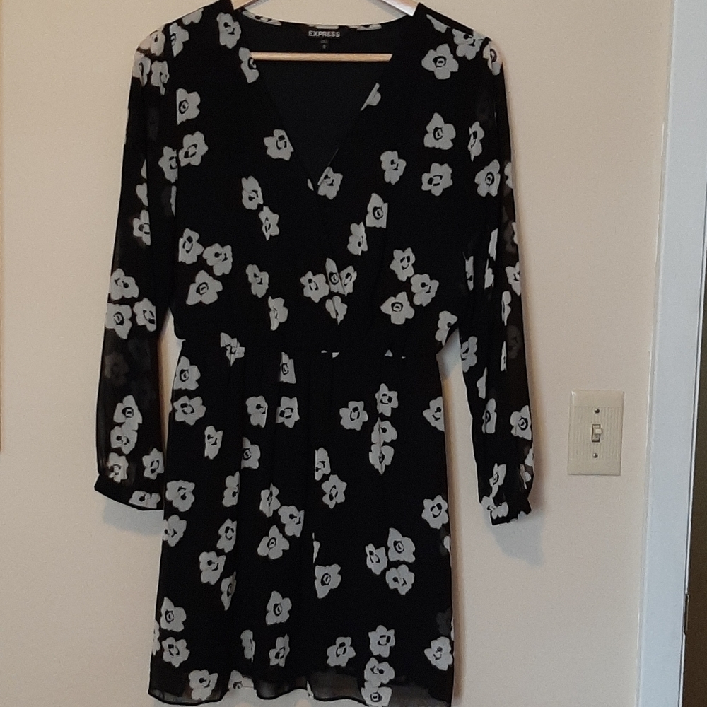 Express A-line Floral Minidress with Long Sleeves